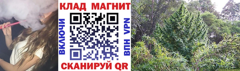 Купить закладку Гагарин OMG   А ПВП  Гашиш  Марихуана 