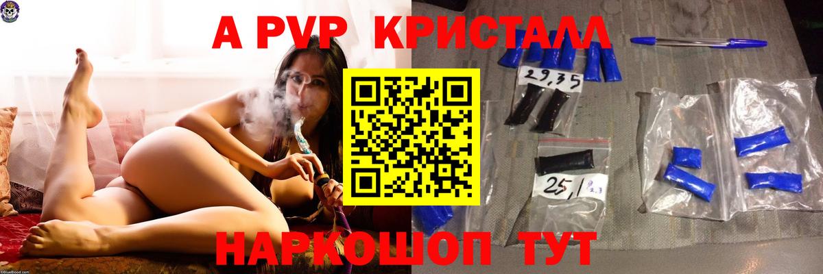 Гагарин  A PVP СК  Вход с VPN  Alfa_PVP VHQ 