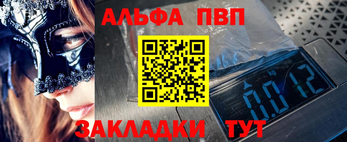 Alfa_PVP СК КРИС Гагарин