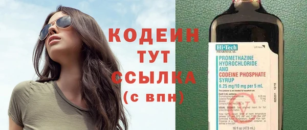 дживик Бородино