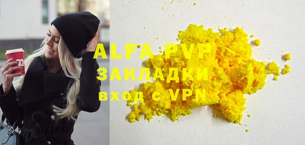 дживик Бородино