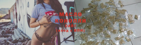 дживик Бородино