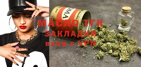 дживик Бородино