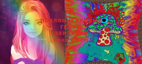 дживик Бородино
