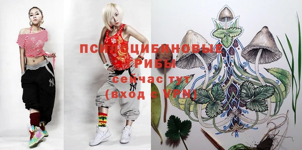 дживик Бородино