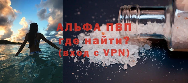 дживик Бородино