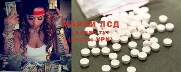 дживик Бородино