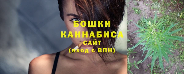дживик Бородино