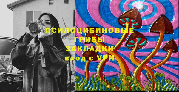 дживик Бородино