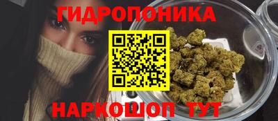 мет Бийск