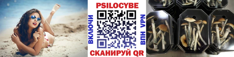Галлюциногенные грибы прущие грибы  где можно купить наркотик  мега tor  Гагарин 