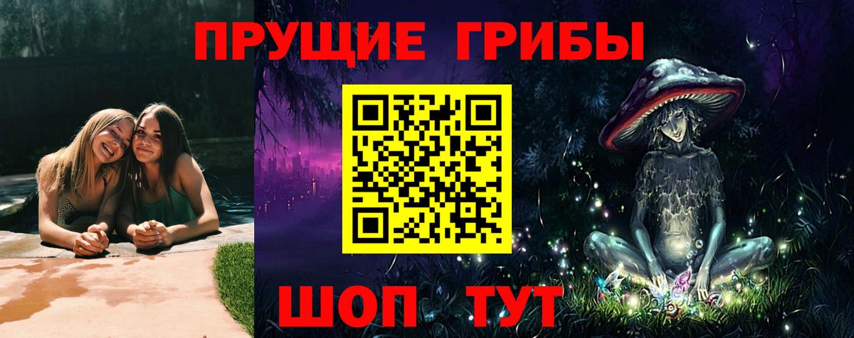 Гагарин  Псилоцибиновые грибы Magic Shrooms  Вход с VPN  Псилоцибиновые грибы Psilocybe 